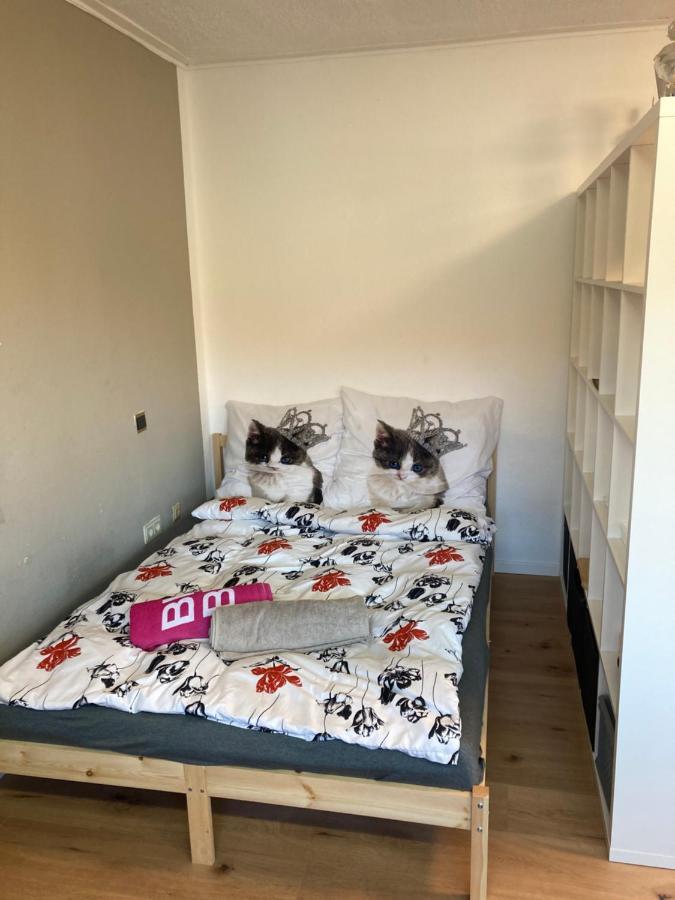 Privatzimmer In Muenchen Zentrum Eksteriør bilde